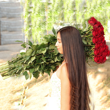 Red Long Stem Roses